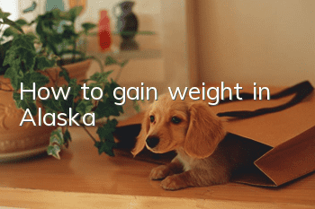 How to gain weight in Alaska