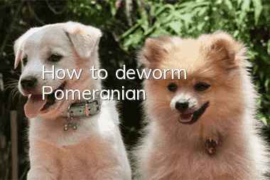How to deworm Pomeranian