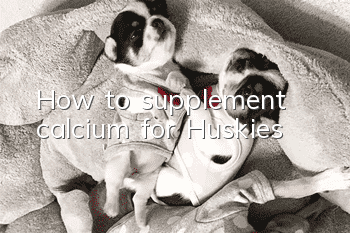 How to supplement calcium for Huskies