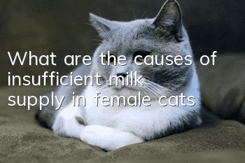 What are the causes of insufficient milk supply in female cats?