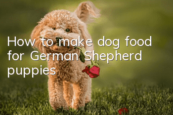 How to make dog food for German Shepherd puppies