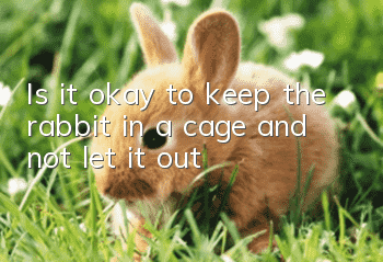 Is it okay to keep the rabbit in a cage and not let it out?