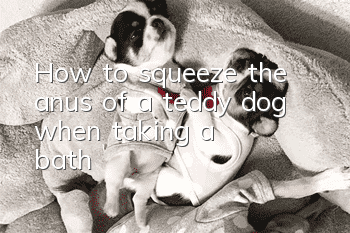 How to squeeze the anus of a teddy dog ​​when taking a bath