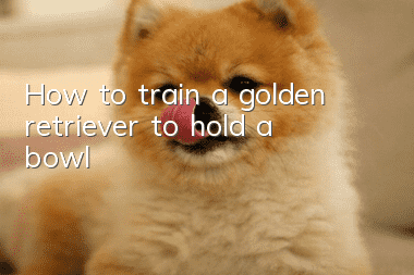 How to train a golden retriever to hold a bowl