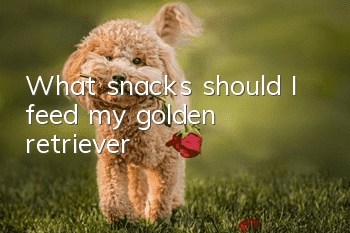 What snacks should I feed my golden retriever?