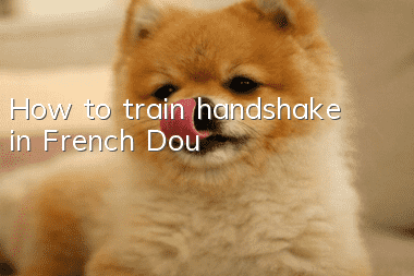 How to train handshake in French Dou