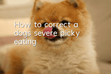 How to correct a dog’s severe picky eating