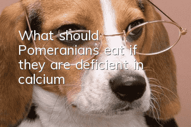 What should Pomeranians eat if they are deficient in calcium?