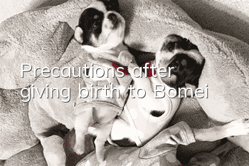 Precautions after giving birth to Bomei