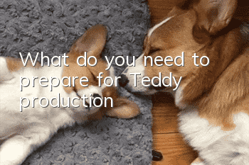 What do you need to prepare for Teddy production?