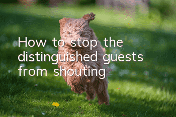 How to stop the distinguished guests from shouting?