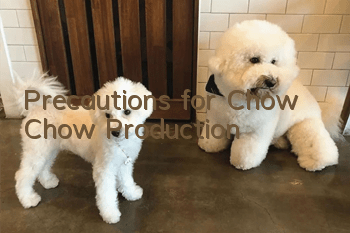 Precautions for Chow Chow Production