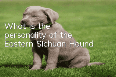 What is the personality of the Eastern Sichuan Hound?