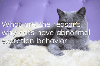 What are the reasons why cats have abnormal excretion behavior?