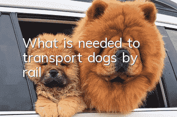 What is needed to transport dogs by rail?