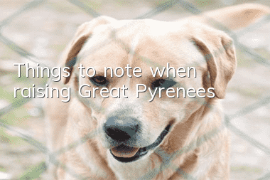 Things to note when raising Great Pyrenees