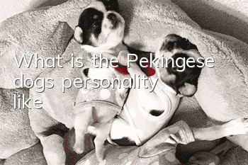What is the Pekingese dog’s personality like?