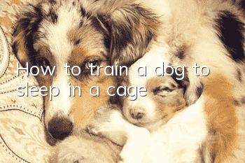 How to train a dog to sleep in a cage