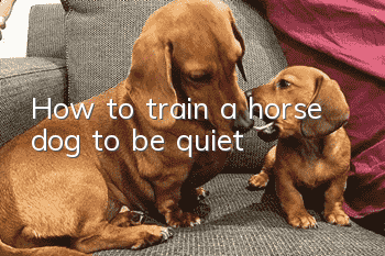 How to train a horse dog to be quiet