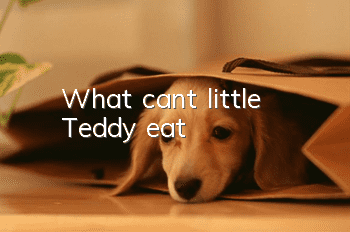 What can’t little Teddy eat?