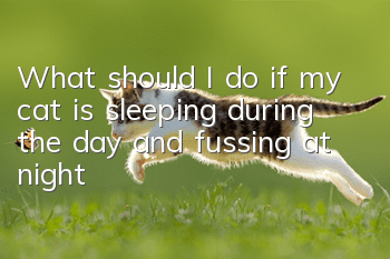 What should I do if my cat is sleeping during the day and fussing at night?