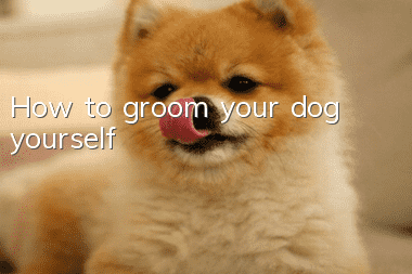 How to groom your dog yourself