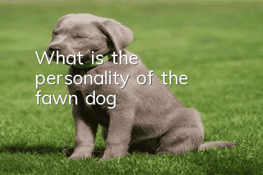What is the personality of the fawn dog?