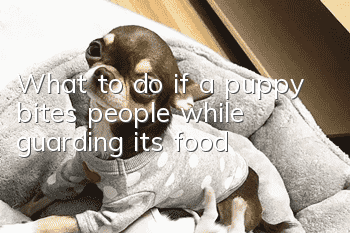 What to do if a puppy bites people while guarding its food