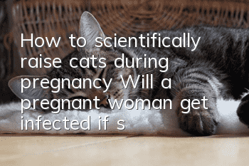 How to scientifically raise cats during pregnancy? Will a pregnant woman get infected if she is scratched by a cat?