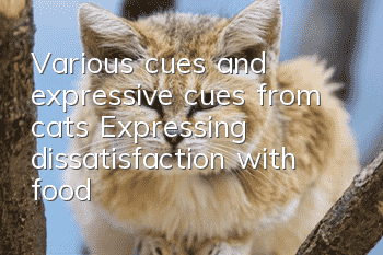 Various cues and expressive cues from cats: Expressing dissatisfaction with food