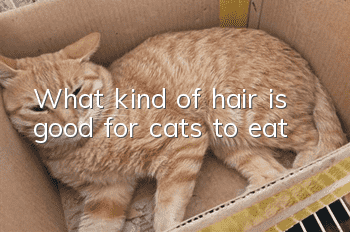 What kind of hair is good for cats to eat?