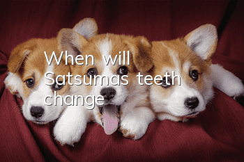When will Satsuma's teeth change?