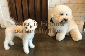 What is Hiromi's personality like?