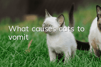 What causes cats to vomit?