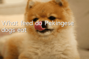 What feed do Pekingese dogs eat?