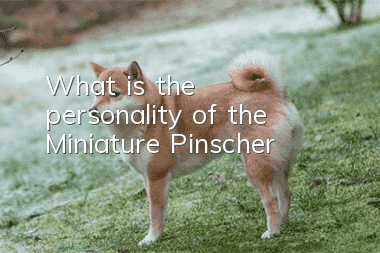 What is the personality of the Miniature Pinscher?
