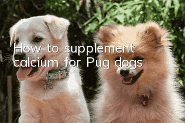 How to supplement calcium for Pug dogs