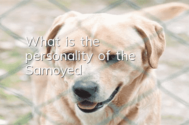 What is the personality of the Samoyed?