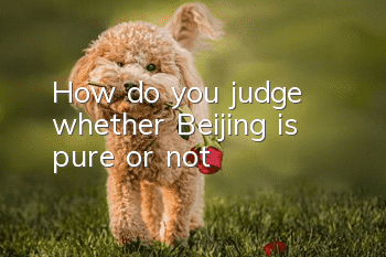 How do you judge whether Beijing is pure or not?