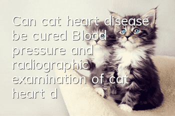 Can cat heart disease be cured? Blood pressure and radiographic examination of cat heart disease!