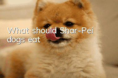 What should Shar-Pei dogs eat?