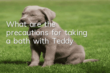 What are the precautions for taking a bath with Teddy?