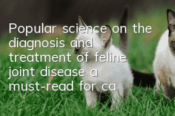Popular science on the diagnosis and treatment of feline joint disease, a must-read for cat owners!