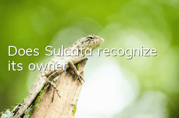 Does Sulcata recognize its owner?