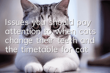 Issues you should pay attention to when cats change their teeth and the timetable for cat teeth change