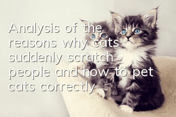 Analysis of the reasons why cats suddenly scratch people, and how to pet cats correctly?