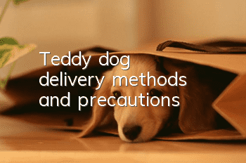 Teddy dog ​​delivery methods and precautions