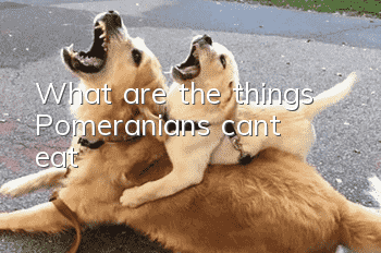 What are the things Pomeranians can’t eat?