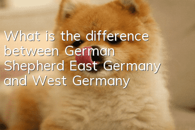 What is the difference between German Shepherd East Germany and West Germany?