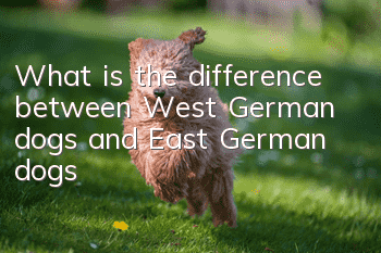 What is the difference between West German dogs and East German dogs?